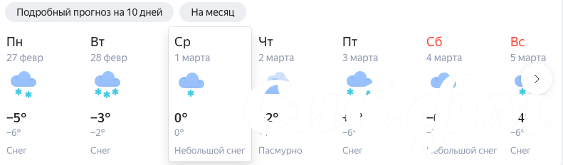 Фото В Новосибирской области ожидается неделя снегопадов с 27 февраля 2